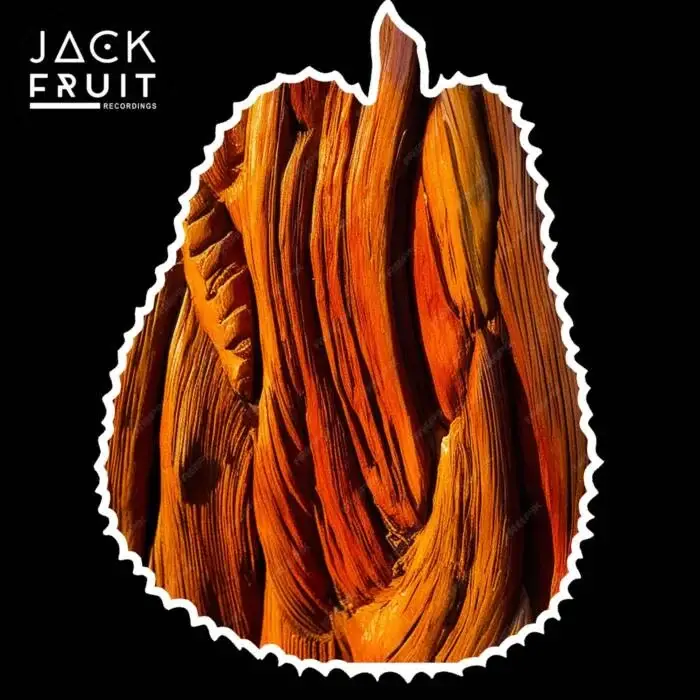 Cover Image: Dompe - Pure Funk on Jackfruit Recordings