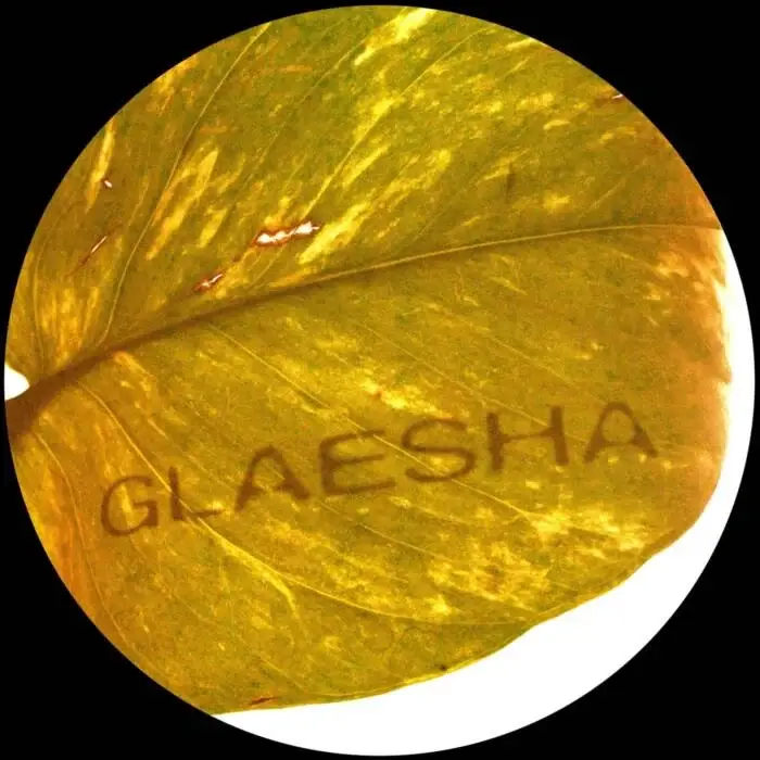 Cover Image: Glaesha - Memory Implant on Breaker Breaker