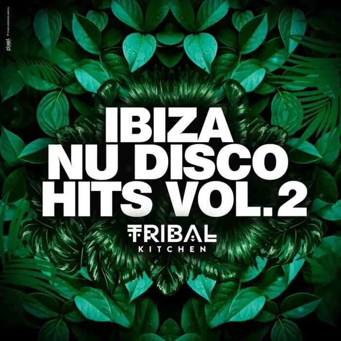 Cover Image: Block & Crown, Sean Finn, Ghostbusterz - Ibiza Nu Disco Hits Vol. 2 (Tribal Kitchen) on Tribal Kitchen