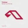 Cover Image for Never Let Me Go Extended Mix