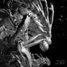 Cover Image for Alone Original Mix
