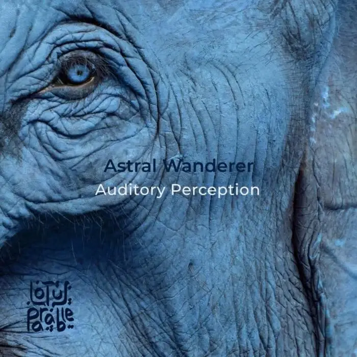 Cover Image: Astral Wanderer - Auditory Perception on Lotus Parable