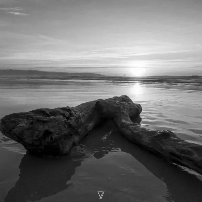 Cover Image: David Ol, MrembolaSir - Connect Nine on Seven Villas