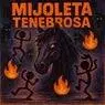 Cover Image for Mijoleta Tenebrosa Remix