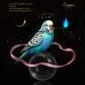 Cover Image for Peace Extended Mix