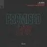 Cover Image for Promised Land Mark Knight & James Hurr Extended Remix