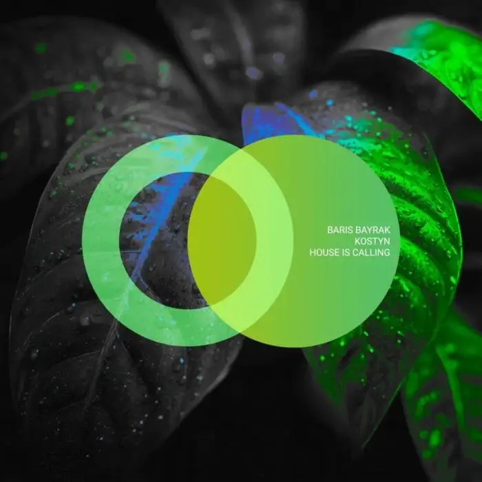 Cover Image: Baris Bayrak, Kostyn - House Is Calling on Area Verde