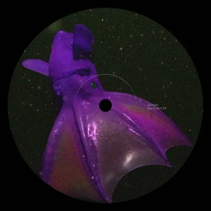 Cover Image: Anteac - Halflight EP on Xelima Records