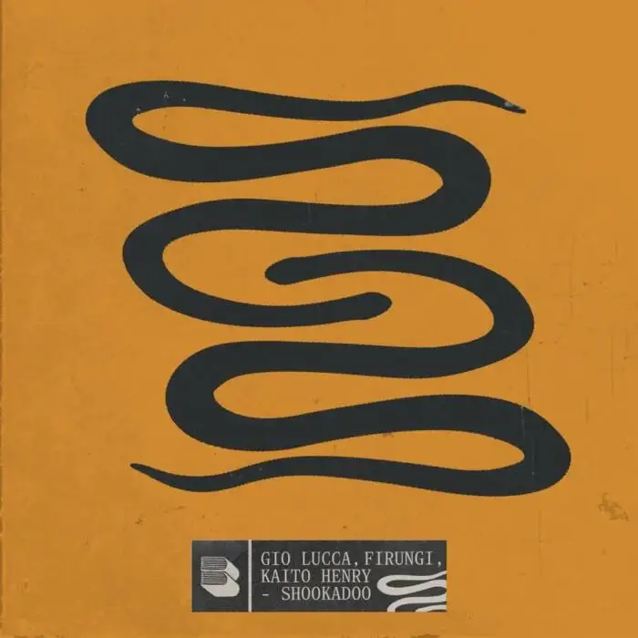 Cover Image: Firungi, Gio Lucca, Kaito Henry - Shookadoo on Black Book Records