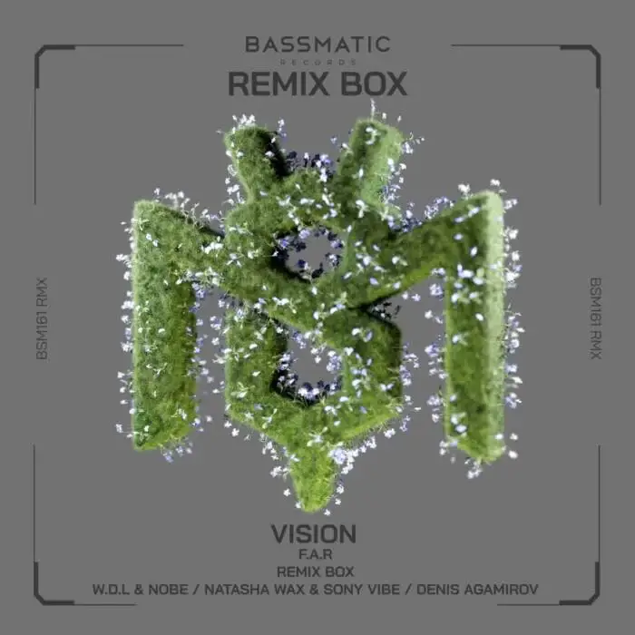 Cover Image: F.A.R - Vision | Remix Box on Bassmatic records