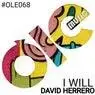 Cover Image for I Will Original Mix