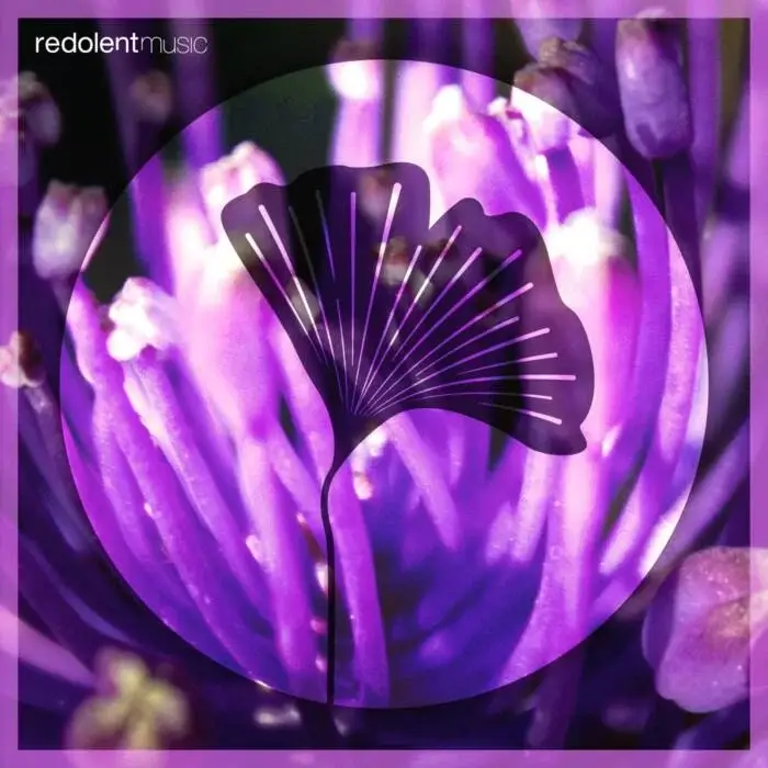Cover Image: Darksidevinyl, Mariøsh - Jameela on REDOLENT