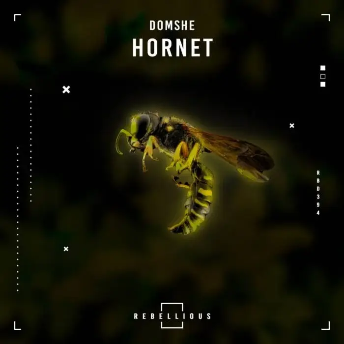 Cover Image: Domshe - Hornet on Rebellious
