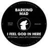 Cover Image for I Feel God In Here Original Mix