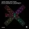 Cover Image for Psychedelic Journey Original Mix