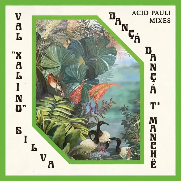 Cover Image: Acid Pauli, Val Xalino - Dançá Dançá T'Manchê (Acid Pauli Mixes) on Compost
