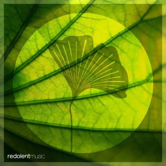Cover Image: Marco Dily, Aminu - Teardrop on REDOLENT