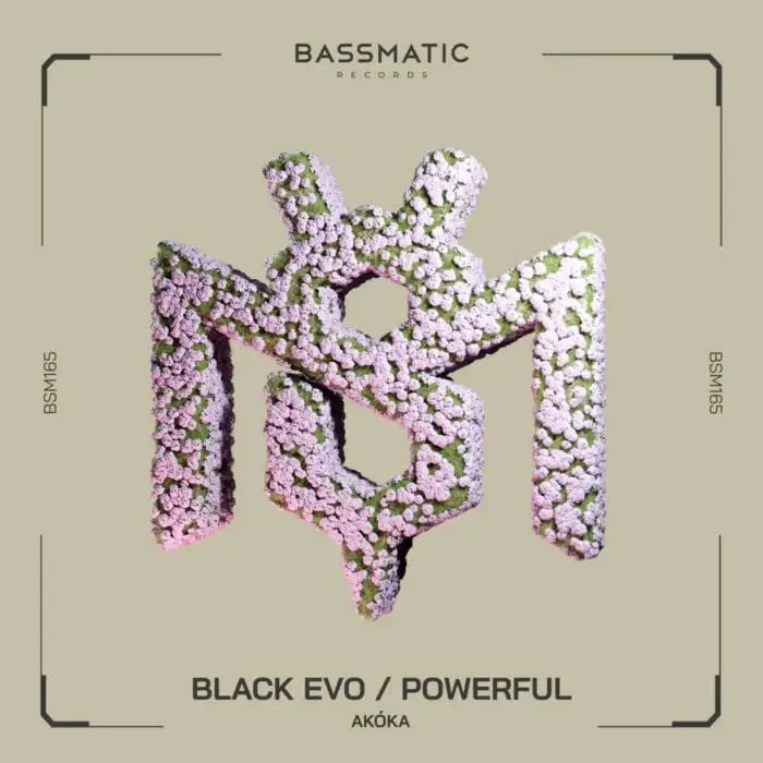 Cover Image: AKÓKA - Black Evo / Powerful on Bassmatic records