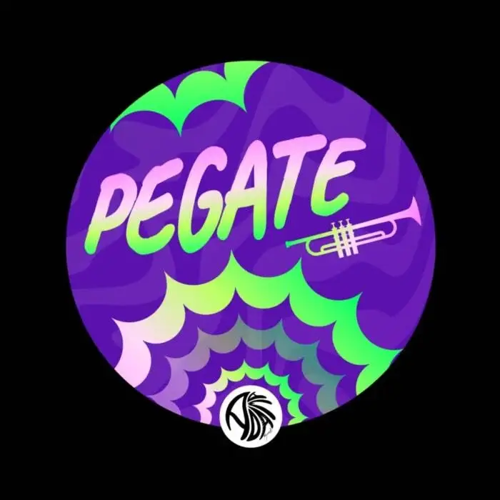 Cover Image: David Hopperman, Sacha Teboul - Pegate on ADAMA RECORDS