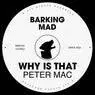 Cover Image for Why Is That Original Mix