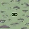 Cover Image for Inoportuno Original Mix