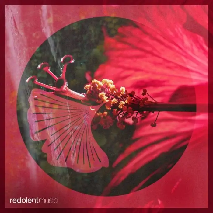 Cover Image: DJ Chus, Amira, NenaHalena - Prado's Revenge (Aaron Sevilla Remix) on REDOLENT