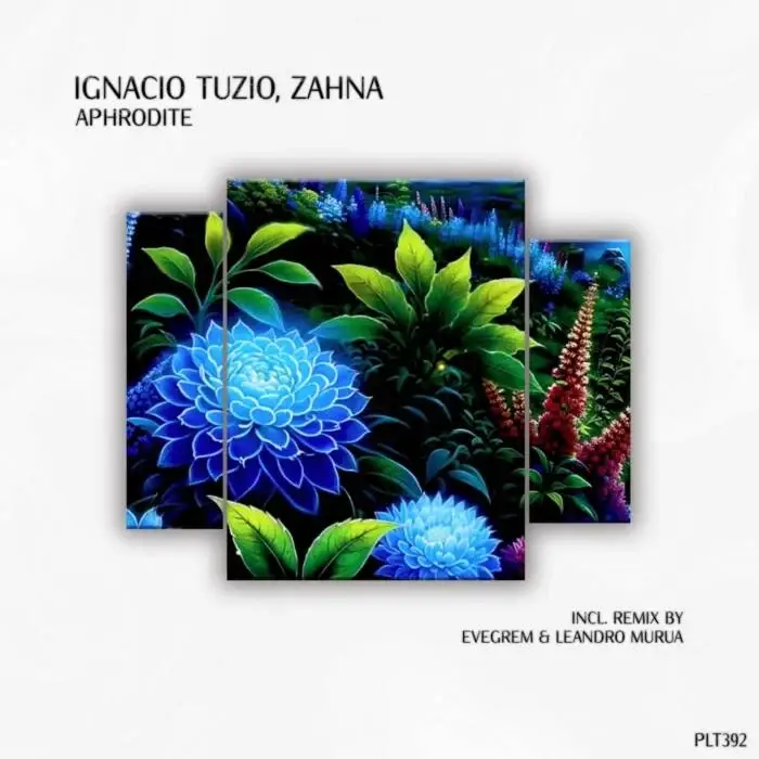 Cover Image: ZAHNA, Ignacio Tuzio - Aphrodite on Polyptych