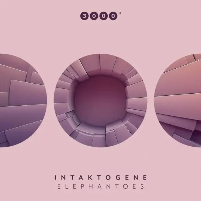 Cover Image: Intaktogene - Elephantoes on 3000 Grad Records