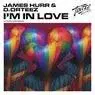 Cover Image for I'm in Love Extended Mix