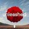 Cover Image for Unleashed Original Mix