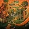 Cover Image for Survive Extended Mix