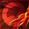 Cover Image for Aura DJ CHUS Remix