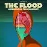 Cover Image for The Flood Extended Mix