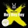 Cover Image for Hey Hey Hey Said Extended Remix