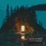 Cover Image for Dark Forest Original Mix