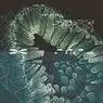 Cover Image for Turbidity Original Mix