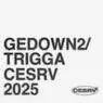 Cover Image for GEDOWN2 Original Mix