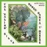 Cover Image for Dançá Dançá T'Manchê Acid Pauli's Autowah Dub