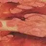 Cover Image for Cannibal Holocaust Original Mix