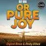 Cover Image for Or Pure Joy Original Mix
