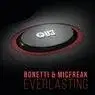 Cover Image for Everlasting Original Mix