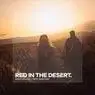 Cover Image for Red In The Desert Original Mix