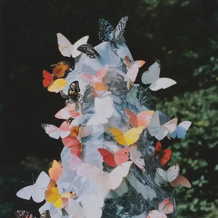 Cover Image: Daphni - Josephine on Jiaolong