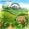 Cover Image for Velvet Cloud Original Mix