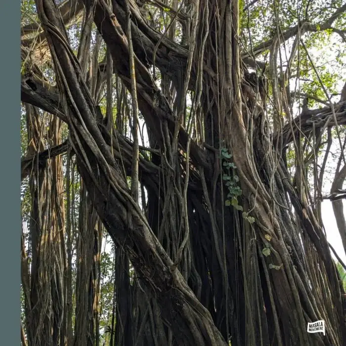 Cover Image: Pawas, Unnayanaa - OMM EP on Masala Movement