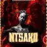 Cover Image for Ntsako Original Mix
