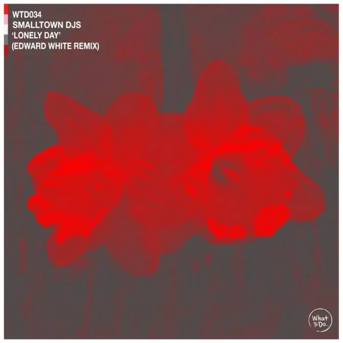 Cover Image: Smalltown DJs - Lonely Day (Edward White remix) on What To Do