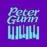 Cover Image for Peter Gunn Extended Mix