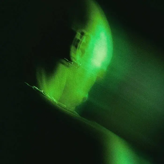 Cover Image: KAS:ST - Next to U on Flyance Records