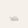 Cover Image for The Turtle Original Mix